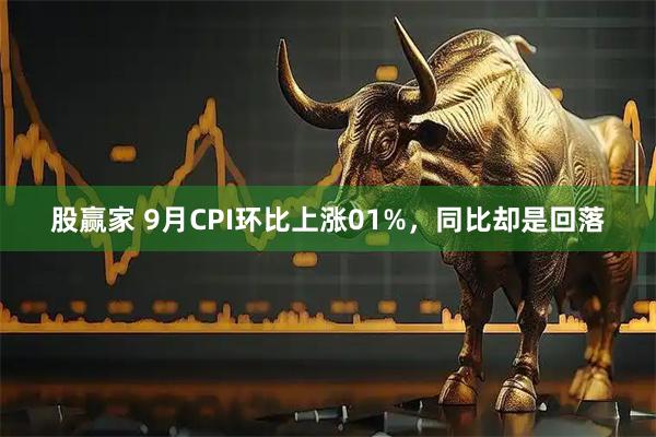 股赢家 9月CPI环比上涨01%，同比却是回落