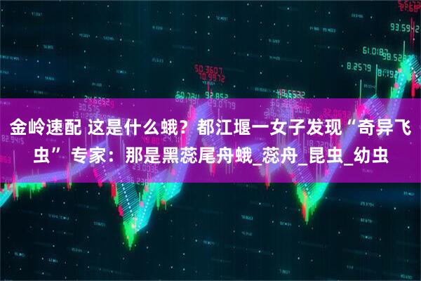 金岭速配 这是什么蛾？都江堰一女子发现“奇异飞虫” 专家：那是黑蕊尾舟蛾_蕊舟_昆虫_幼虫